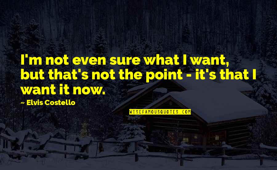 Portnikov Quotes By Elvis Costello: I'm not even sure what I want, but