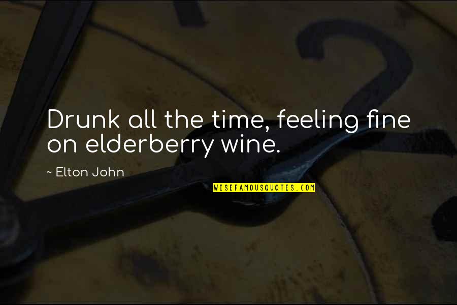 Portsmouth The Library Quotes By Elton John: Drunk all the time, feeling fine on elderberry