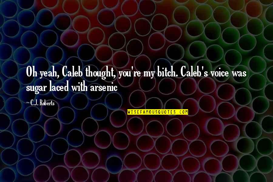 Positive Reporter Quotes By C.J. Roberts: Oh yeah, Caleb thought, you're my bitch. Caleb's