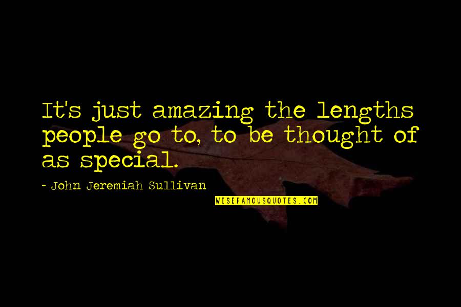 Positrons And Beta Quotes By John Jeremiah Sullivan: It's just amazing the lengths people go to,