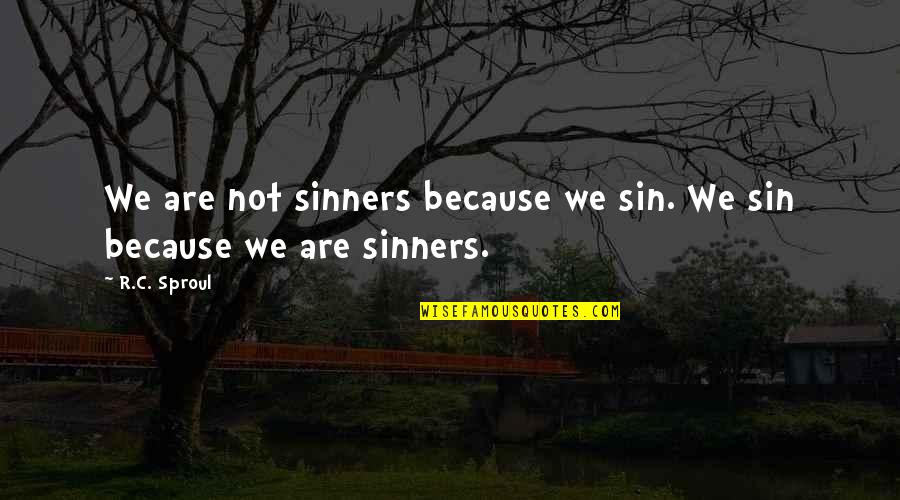 Poslije Mnogo Quotes By R.C. Sproul: We are not sinners because we sin. We