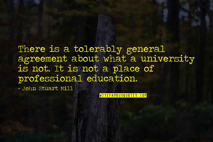 Possessives Video Quotes By John Stuart Mill: There is a tolerably general agreement about what