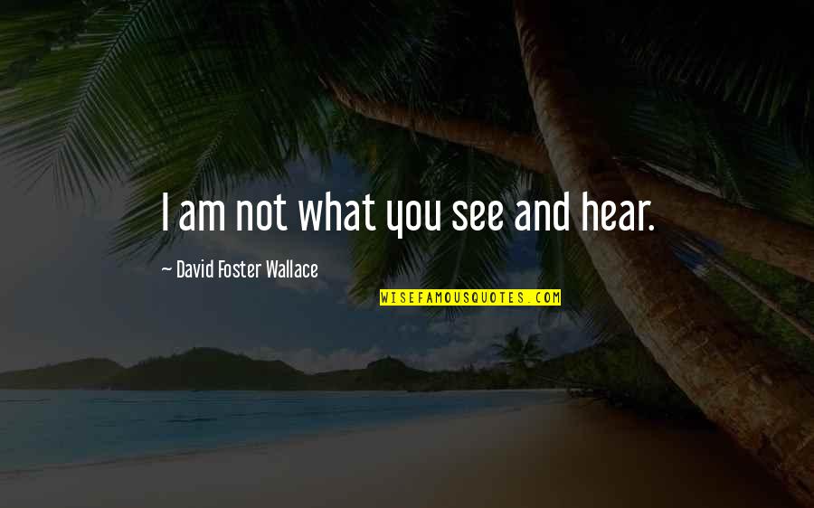 Post Election Violence Quotes By David Foster Wallace: I am not what you see and hear.