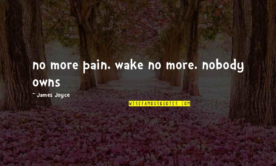 Praetorius Quotes By James Joyce: no more pain. wake no more. nobody owns