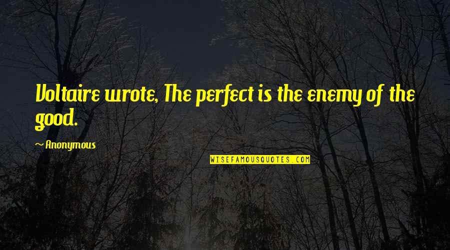 Prandial Medical Term Quotes By Anonymous: Voltaire wrote, The perfect is the enemy of