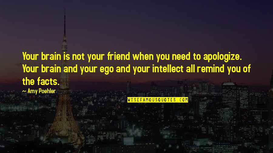 Prays Well With Others Quotes By Amy Poehler: Your brain is not your friend when you