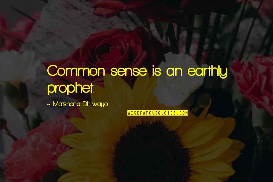 Precieuse Hitches Quotes By Matshona Dhliwayo: Common sense is an earthly prophet.