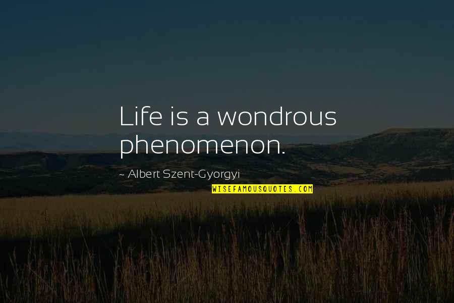 Presence Of God Bible Quotes By Albert Szent-Gyorgyi: Life is a wondrous phenomenon.