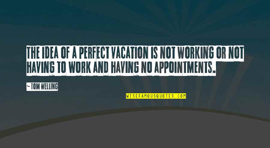 Pretax Retirement Quotes By Tom Welling: The idea of a perfect vacation is not