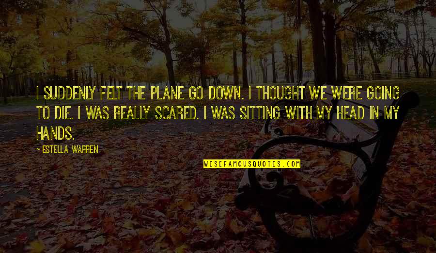 Preventing Self Harm Quotes By Estella Warren: I suddenly felt the plane go down. I