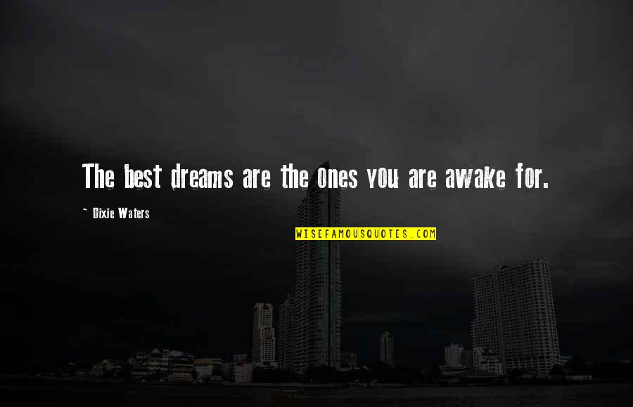 Priestleys Pecans Quotes By Dixie Waters: The best dreams are the ones you are