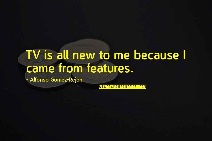 Primagest Quotes By Alfonso Gomez-Rejon: TV is all new to me because I