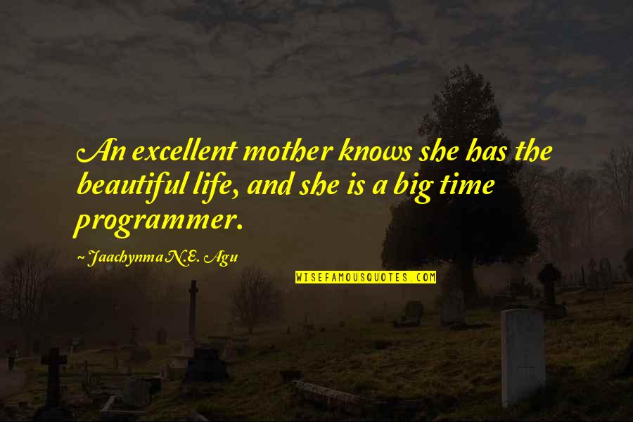 Principles And Greatness Quotes By Jaachynma N.E. Agu: An excellent mother knows she has the beautiful