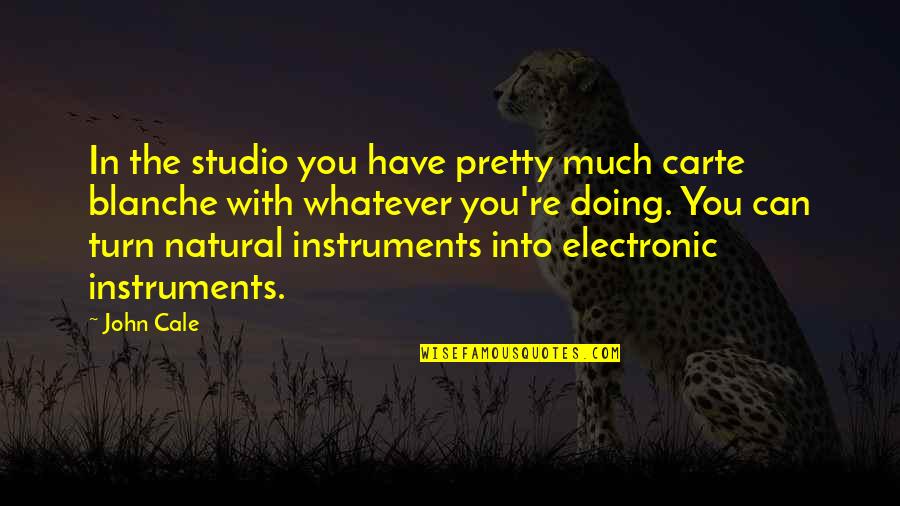 Printerland Ink Quotes By John Cale: In the studio you have pretty much carte