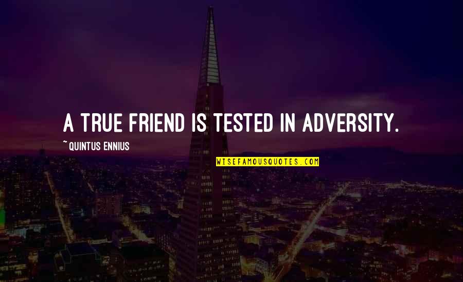 Prison Punishment Quotes By Quintus Ennius: A true friend is tested in adversity.