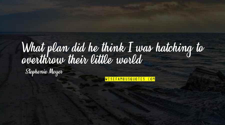 Privilegiado En Quotes By Stephenie Meyer: What plan did he think I was hatching