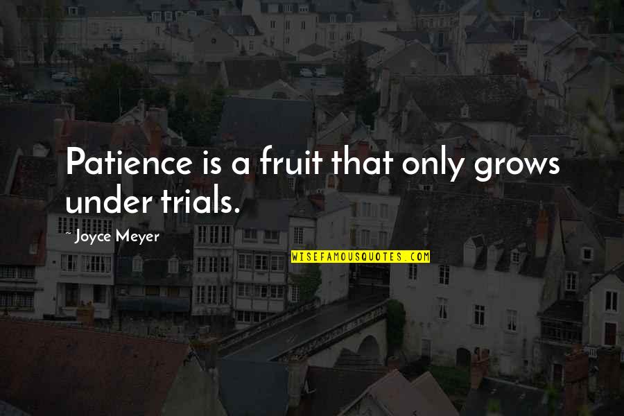 Pro Junk Food Quotes By Joyce Meyer: Patience is a fruit that only grows under