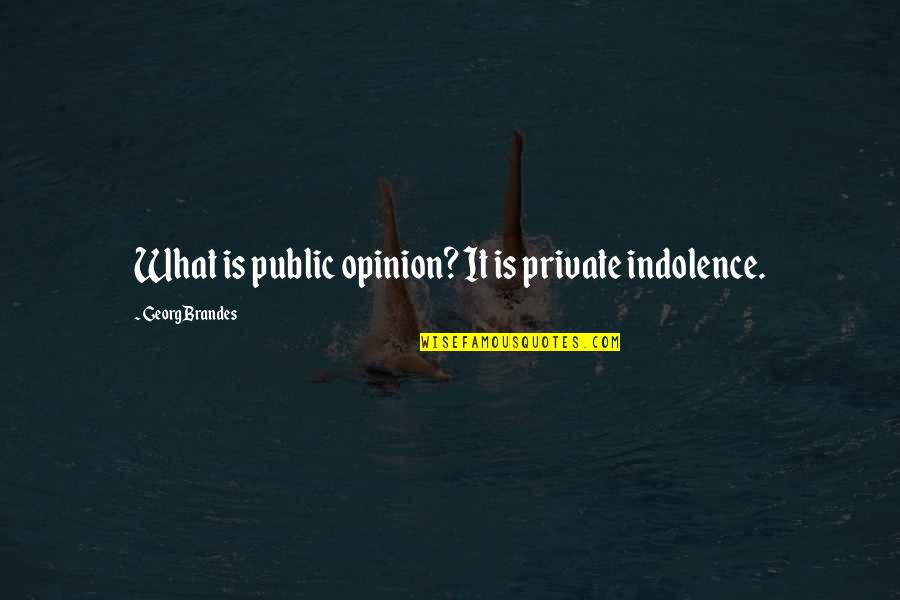 Pro Profanity Quotes By Georg Brandes: What is public opinion? It is private indolence.