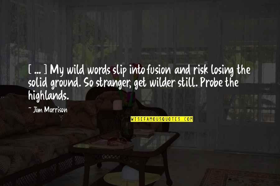 Probe Quotes By Jim Morrison: [ ... ] My wild words slip into