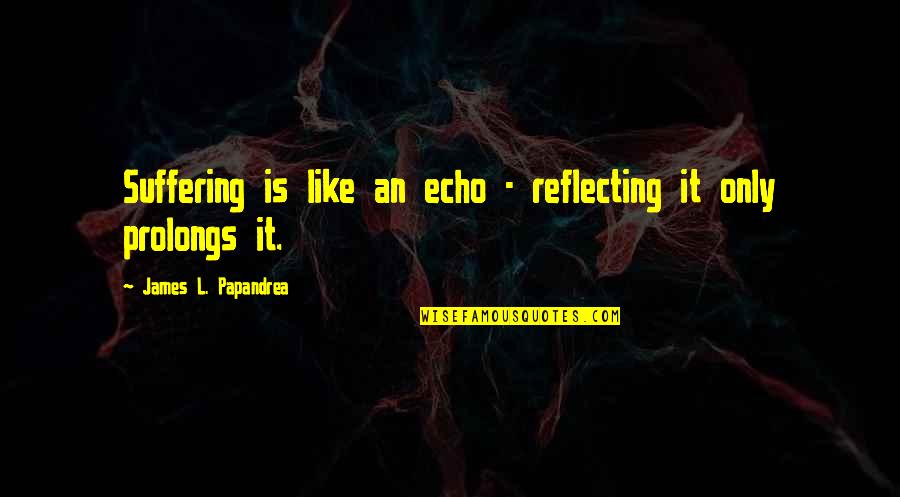 Projectors For Sale Quotes By James L. Papandrea: Suffering is like an echo - reflecting it