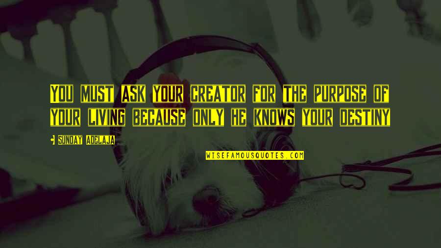 Projectos De Investimento Quotes By Sunday Adelaja: You must ask your creator for the purpose