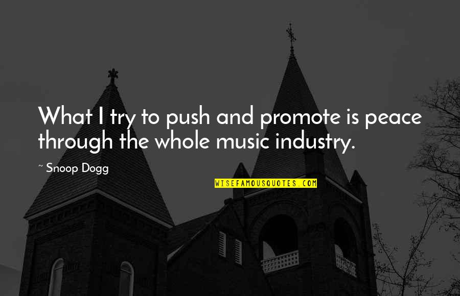 Promote Music Quotes By Snoop Dogg: What I try to push and promote is