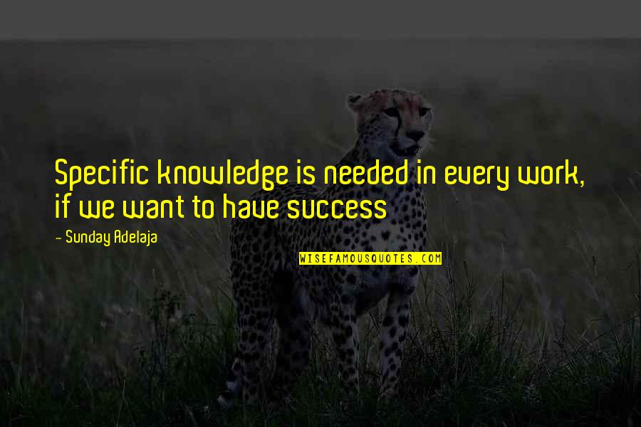 Prosperity Life Quotes By Sunday Adelaja: Specific knowledge is needed in every work, if