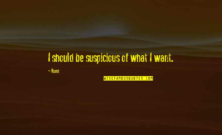 Prosperity Preaching Quotes By Rumi: I should be suspicious of what I want.