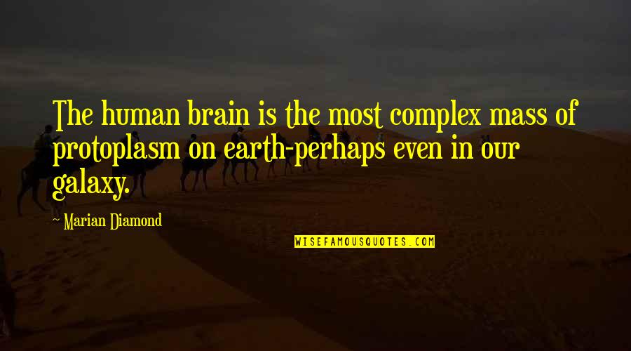 Protoplasm Quotes By Marian Diamond: The human brain is the most complex mass