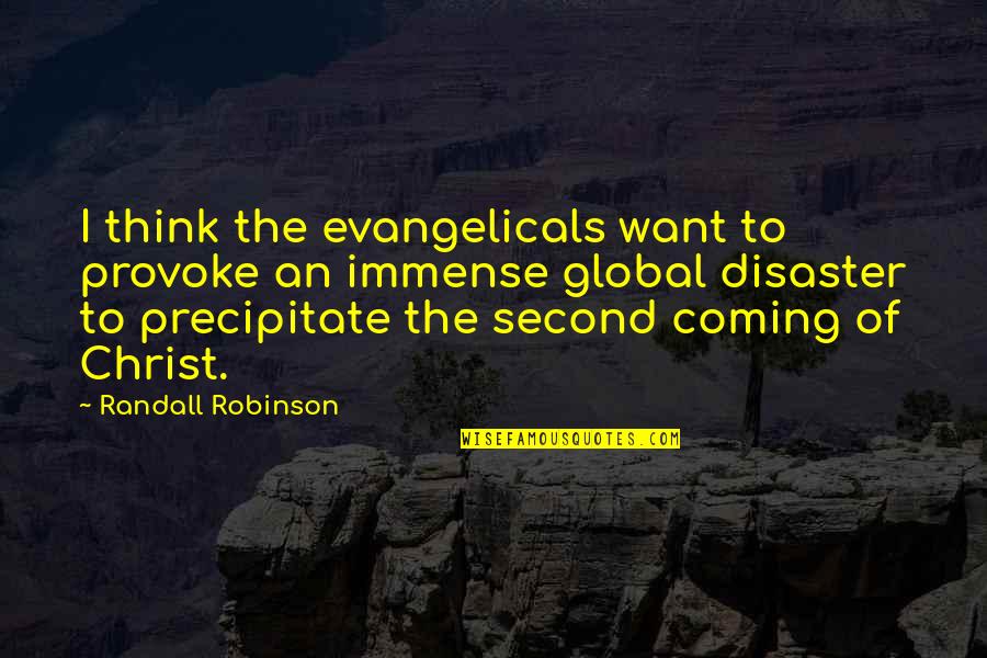 Provoke You Quotes By Randall Robinson: I think the evangelicals want to provoke an