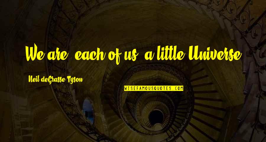 Pseta Indicium Quotes By Neil DeGrasse Tyson: We are, each of us, a little Universe