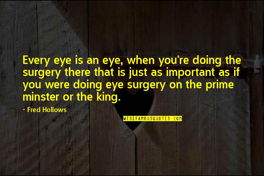 Psychokinetic Quotes By Fred Hollows: Every eye is an eye, when you're doing