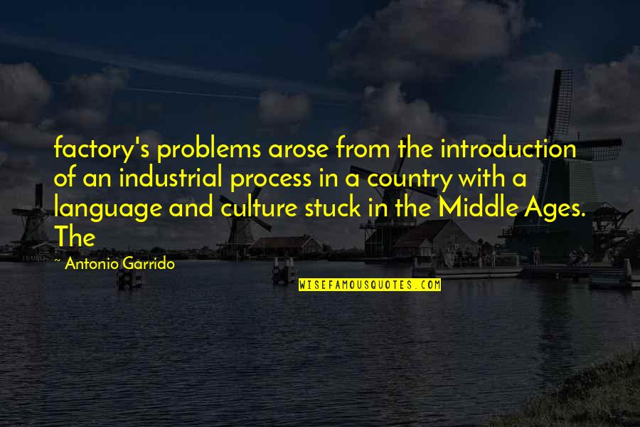 Pulper Quotes By Antonio Garrido: factory's problems arose from the introduction of an