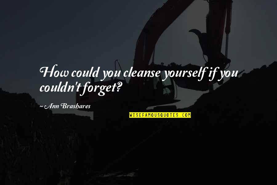 Puntelec Quotes By Ann Brashares: How could you cleanse yourself if you couldn't