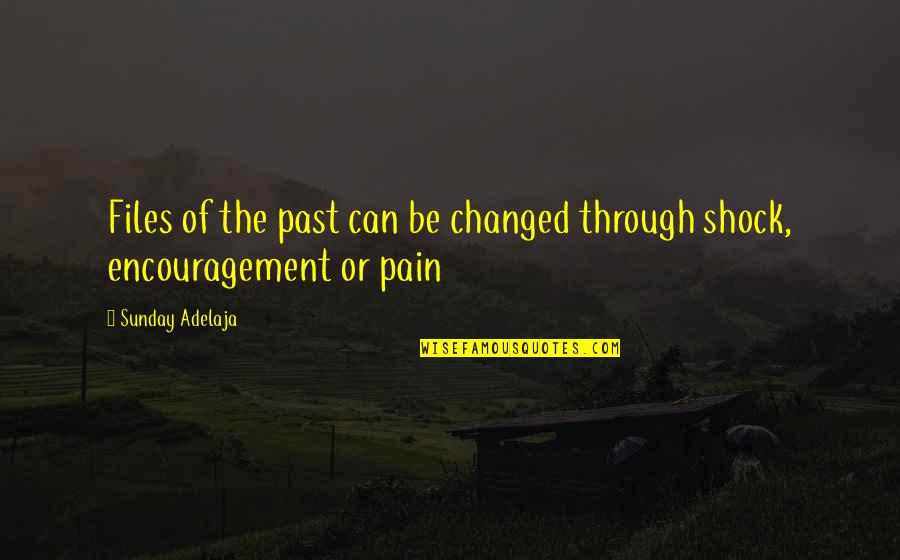 Purpose In Pain Quotes By Sunday Adelaja: Files of the past can be changed through