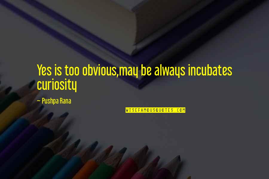 Pushpa Rana Quotes By Pushpa Rana: Yes is too obvious,may be always incubates curiosity