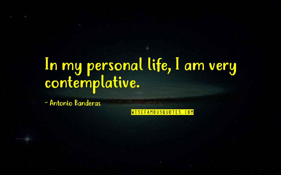 Puteri Harbour Quotes By Antonio Banderas: In my personal life, I am very contemplative.