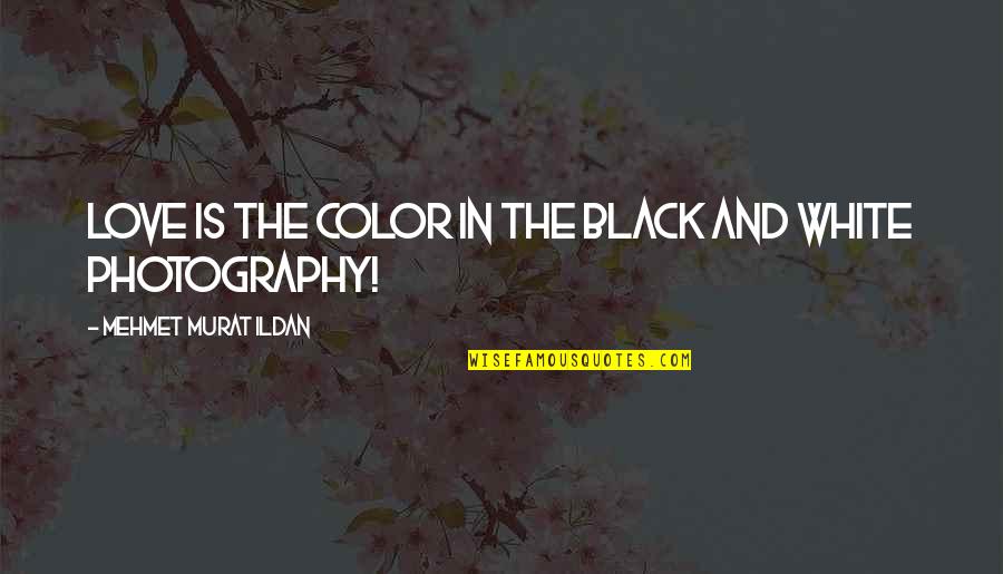 Puthoff Sales Quotes By Mehmet Murat Ildan: Love is the color in the black and