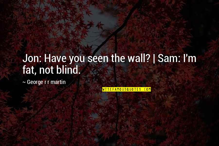 Puttin In Work Meme Quotes By George R R Martin: Jon: Have you seen the wall? | Sam: