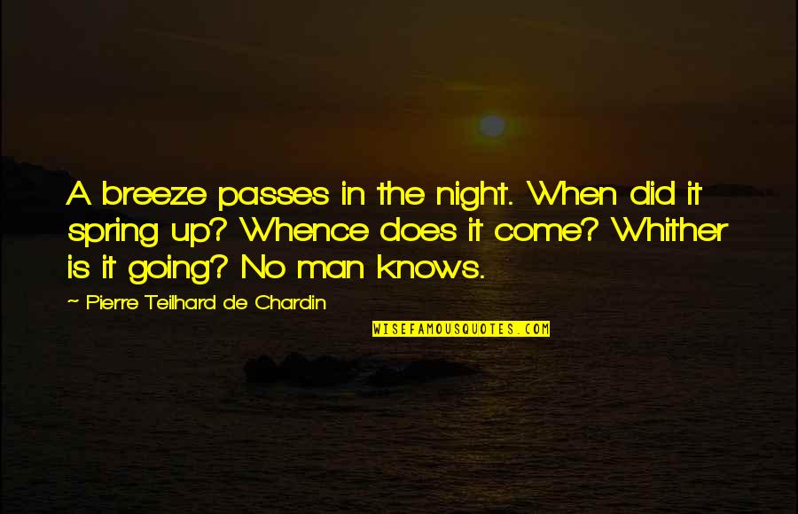 Quadrangularis Quotes By Pierre Teilhard De Chardin: A breeze passes in the night. When did