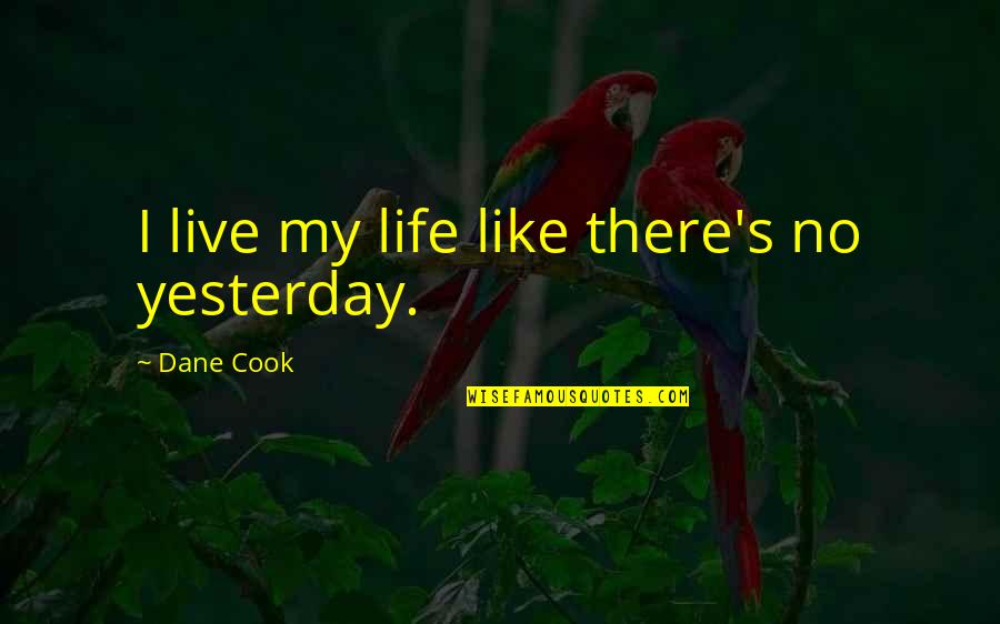 Qualifier Plus Quotes By Dane Cook: I live my life like there's no yesterday.