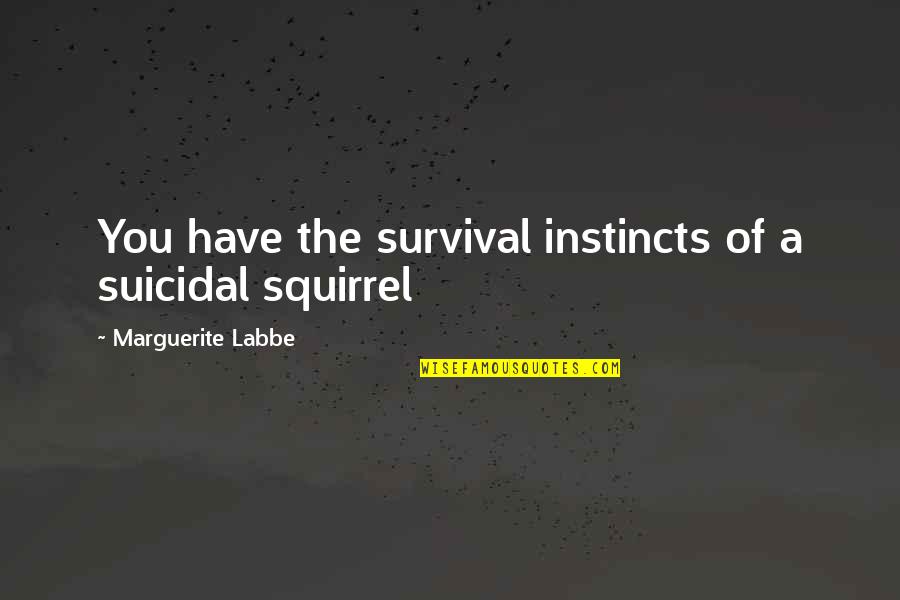 Quasten Patrology Quotes By Marguerite Labbe: You have the survival instincts of a suicidal