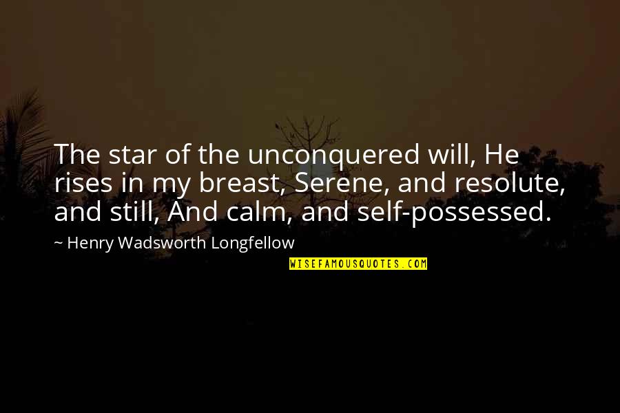 Quaternion Group Quotes By Henry Wadsworth Longfellow: The star of the unconquered will, He rises