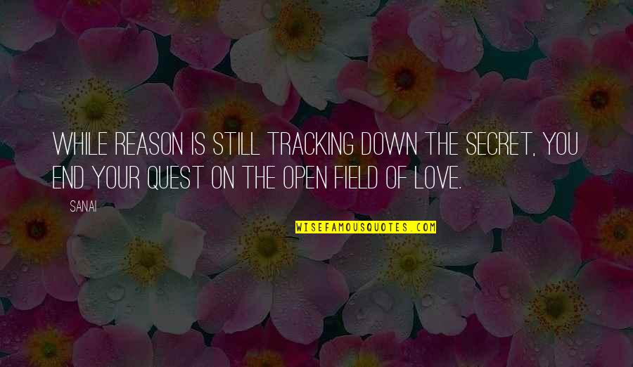 Quest Quotes By Sanai: While reason is still tracking down the secret,