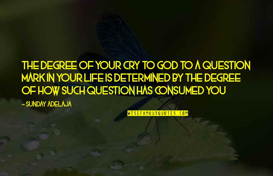 Question Mark Quotes By Sunday Adelaja: The degree of your cry to God to