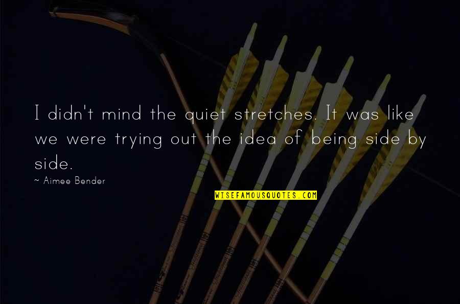 Quiet The Mind Quotes By Aimee Bender: I didn't mind the quiet stretches. It was