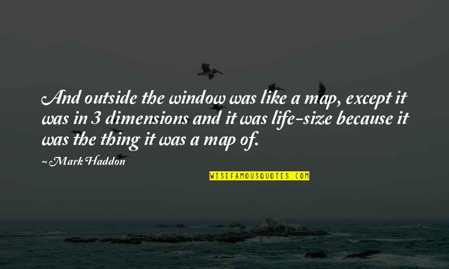 Quintessencia Flamengo Quotes By Mark Haddon: And outside the window was like a map,