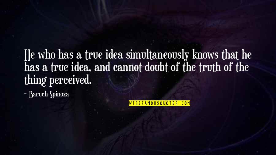 Quotes Yarn Life Quotes By Baruch Spinoza: He who has a true idea simultaneously knows