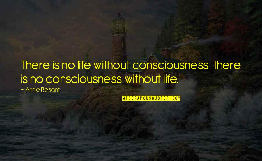 Quwan Bobby Quotes By Annie Besant: There is no life without consciousness; there is