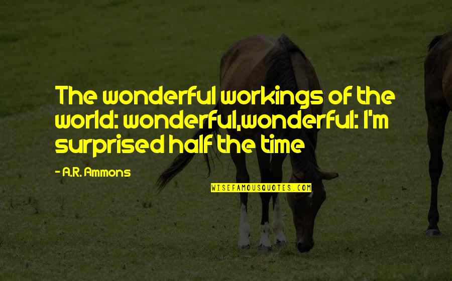 R.i.p Quotes By A.R. Ammons: The wonderful workings of the world: wonderful,wonderful: I'm